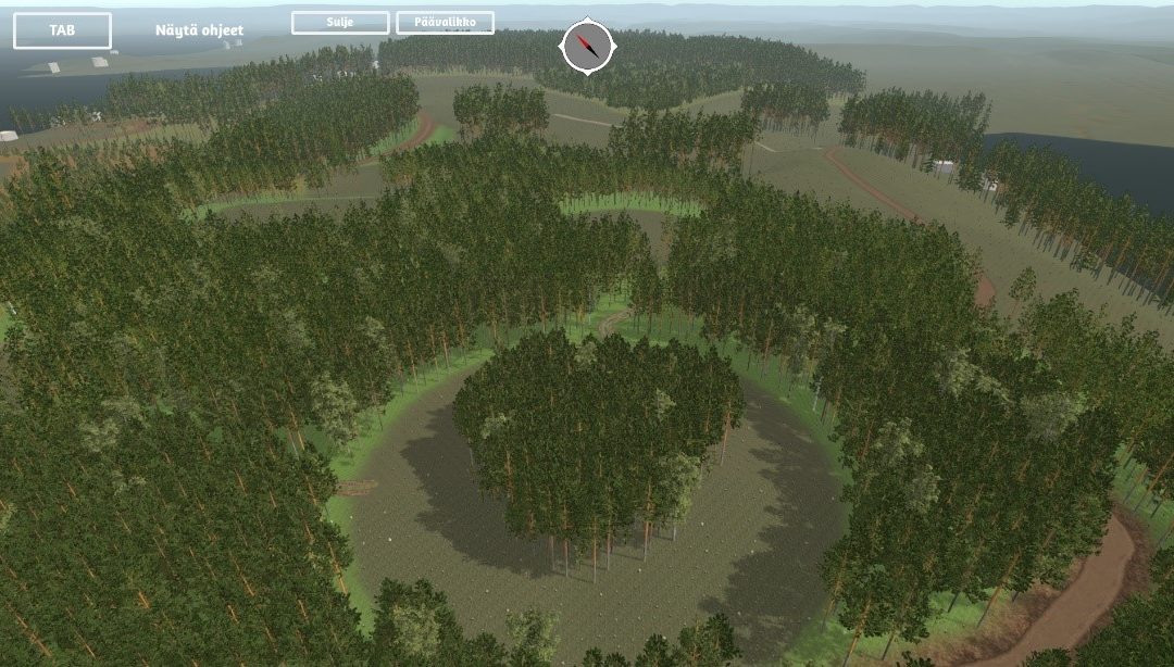 Tietokoneella tehty havainnekuva metsätilasta.