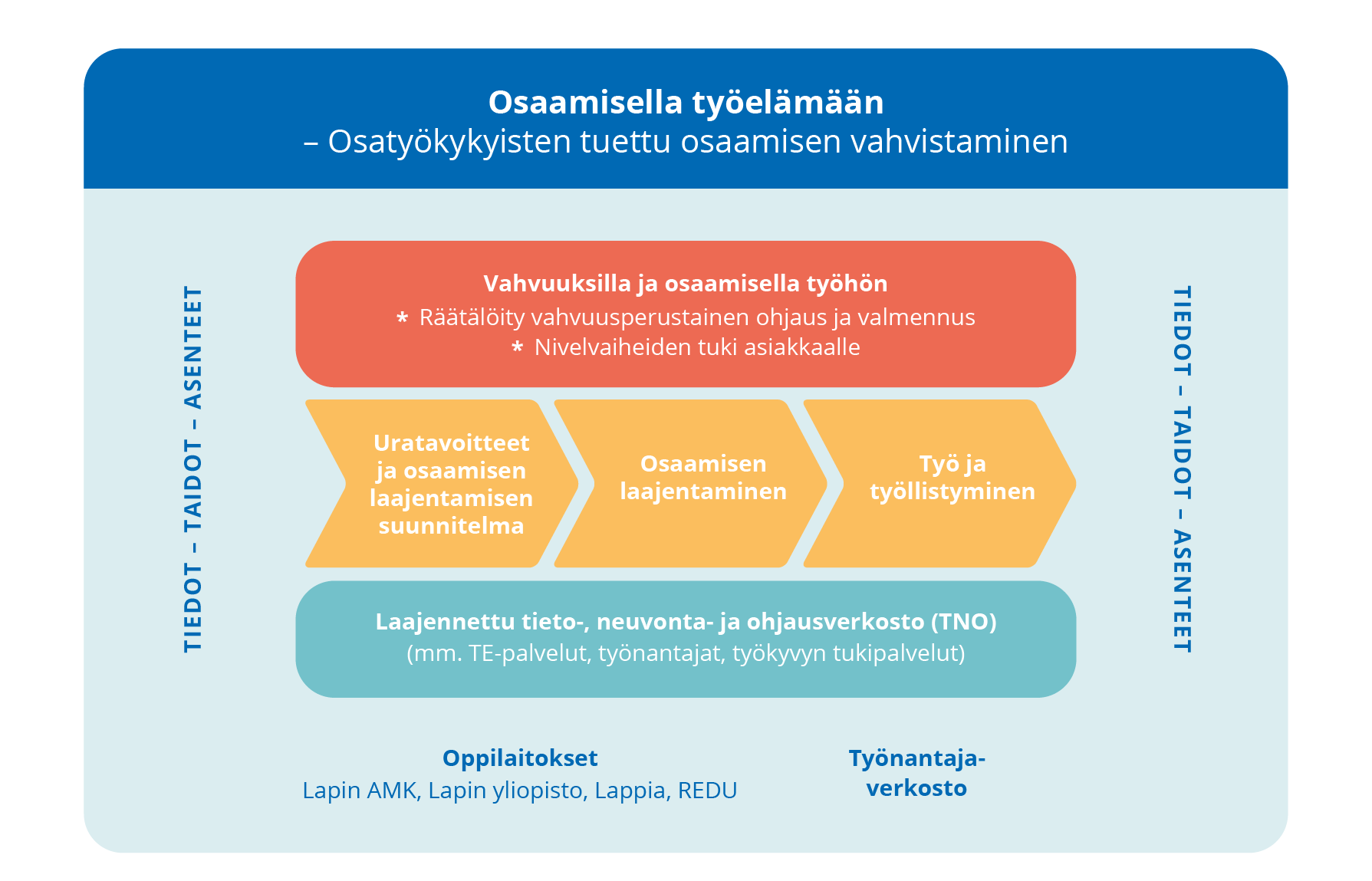 Kuvion vasemmalla ja oikealla on teksti ”tiedot-taidot-asenteet”. Kuvion yläosassa on laatikko ”Vahvuuksilla ja osaamisella työhön” ja sen alla luottelomerkein ”räätälöity vahvuusperustainen ohjaus ja ja valmennus” sekä ”Nivelvaiheiden tuki. Laatikon alla on 3-osainen nuoli, jonka ensmmäinen osa on ”Uratavoitteet ja osaamisen laajentamisen suunnitelma”, toinen osa ”Osaamisen laajentaminen” ja kolmas osa ”Työ ja työllistyminen”. Nuolen alla on ellipsi, jonka sisällä lukee ”Laajennettu tieto-, neuvonta- ja ohjausverkosto (TNO), mm. TE-palvelut, työnantajat, työkyvyn palvelut”. Ellipsin alapuolella lukee ”Oppilaitokset” ja ”Työnantajaverkosto”. 