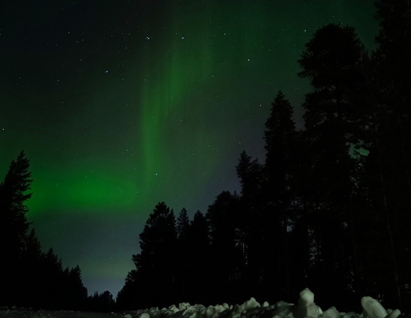 Revontulet öisen metsän yllä.